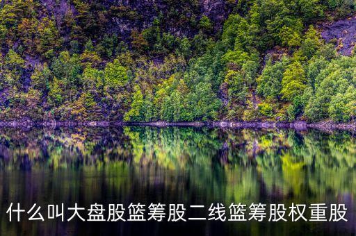 什么叫大盤股籃籌股二線籃籌股權重股