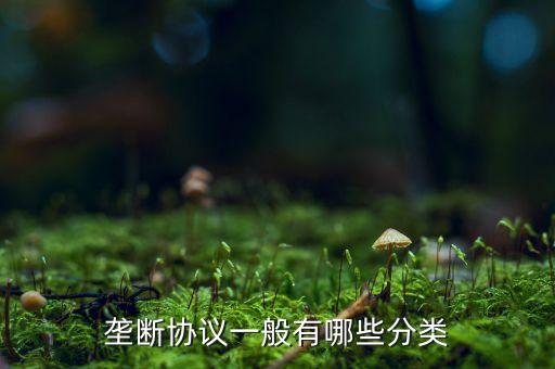 什么是縱向壟斷協(xié)議，壟斷協(xié)議一般有哪些分類