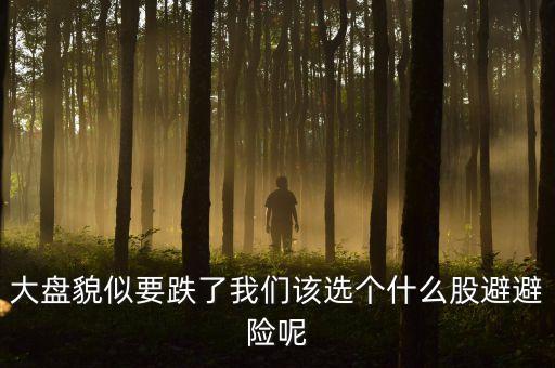 減持潮至買什么票避險(xiǎn)，有效避險(xiǎn)的股票品種是不是鋼鐵和酒類醫(yī)藥類