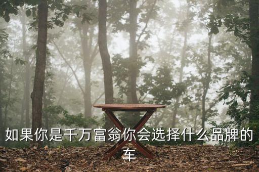 中國千萬富翁開什么車，在中國千萬富豪都開些什么車啊