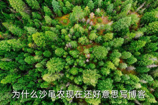 沙黽農(nóng)為什么要害散戶，沙黽農(nóng)到底是個(gè)什么樣的人