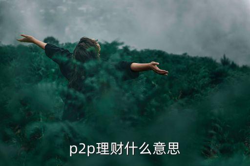 什么是p2p理財(cái)，P2P理財(cái)是什么意思