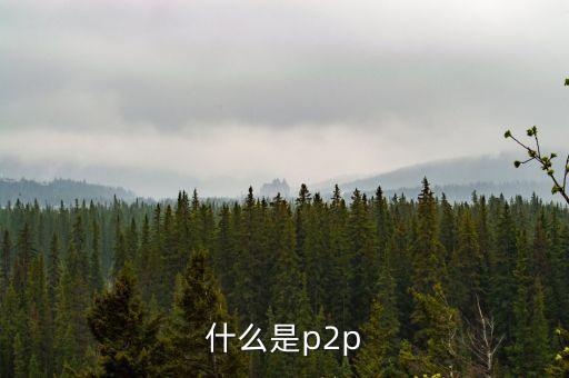 p2p支付是什么，什么是p2p