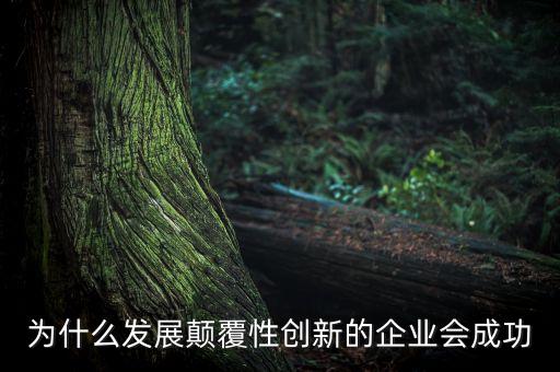什么事顛覆式創(chuàng)新，為什么發(fā)展顛覆性創(chuàng)新的企業(yè)會(huì)成功
