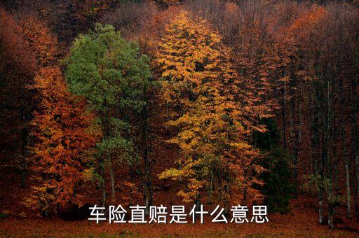 車險(xiǎn)直賠是什么意思