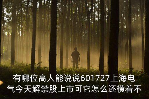 601727上海電氣為什么停牌，上海電氣股票今天怎么不漲
