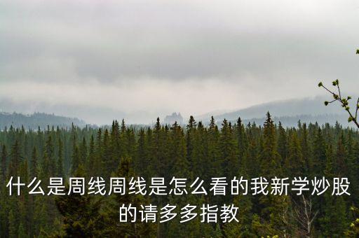 什么是周線周線是怎么看的我新學(xué)炒股的請(qǐng)多多指教