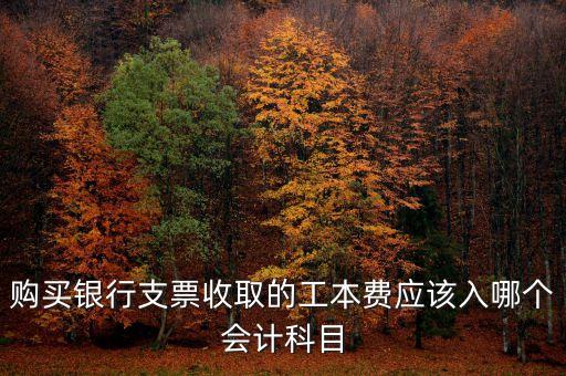 銀行工本費(fèi)計(jì)入什么科目，購(gòu)買(mǎi)銀行支票收取的工本費(fèi)應(yīng)該入哪個(gè)會(huì)計(jì)科目