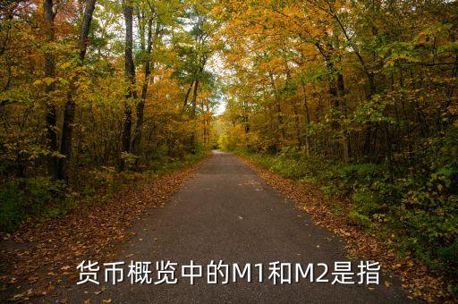 m1和m2是什么，貨幣概覽中的M1和M2是指