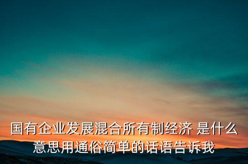 為什么叫混合資本，國有企業(yè)發(fā)展混合所有制經(jīng)濟 是什么意思用通俗簡單的話語告訴我