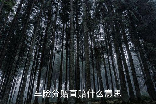 車險(xiǎn)分賠直賠什么意思