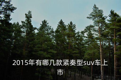 2015年有哪幾款緊奏型suv車上市