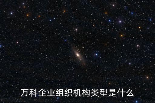 萬科企業(yè)組織機構(gòu)類型是什么