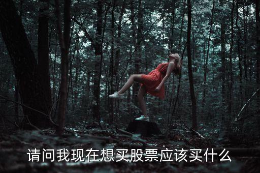 請(qǐng)問(wèn)我現(xiàn)在想買股票應(yīng)該買什么