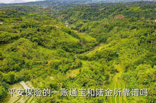 陸金所里的一賬通是什么，平安保險(xiǎn)的一賬通寶和陸金所靠譜嗎