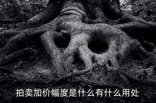什么是加碼幅度，貸款利率定價(jià)方式中加點(diǎn)幅度是什么意思