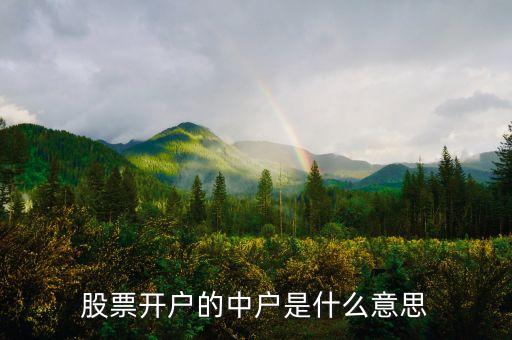 證券公司為什么要設(shè)大戶中戶，股票開戶的中戶是什么意思