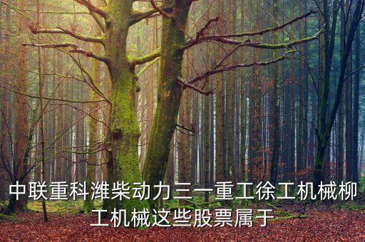 002552是什么板塊，中聯(lián)重科濰柴動(dòng)力三一重工徐工機(jī)械柳工機(jī)械這些股票屬于