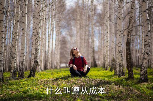 什么是遵從成本，compliance costs 是什么意思