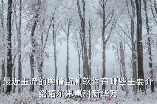 拓爾思和天璣科技主要做什么，天璣股票計劃是哪個公司推出的是做什么的