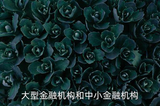 什么是中小金融機構(gòu)，大型金融機構(gòu)和中小金融機構(gòu)