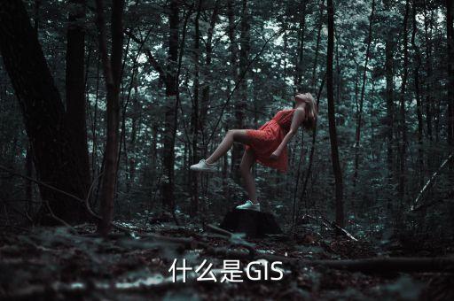 什么是GIS