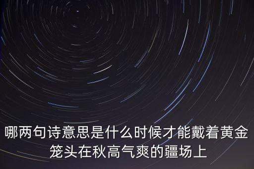 哪兩句詩意思是什么時(shí)候才能戴著黃金 籠頭在秋高氣爽的疆場(chǎng)上