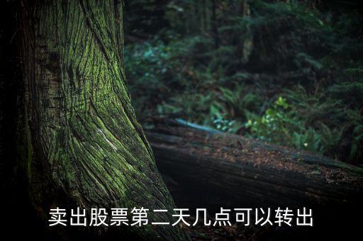 股票賣了錢什么時候可以轉(zhuǎn)出，股票成功賣出后多長時間可以從帳戶轉(zhuǎn)出資金