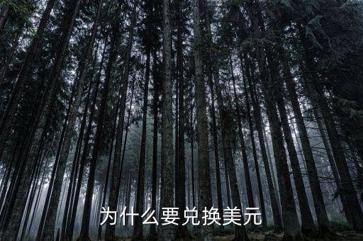 為什么換美元，為什么大家都在兌換美元
