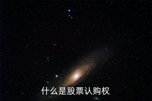 什么是認(rèn)購(gòu)股份，什么是股票認(rèn)購(gòu)權(quán)