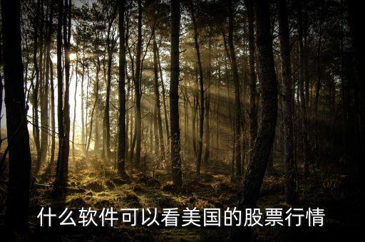 什么軟件可以看美國(guó)的股票行情