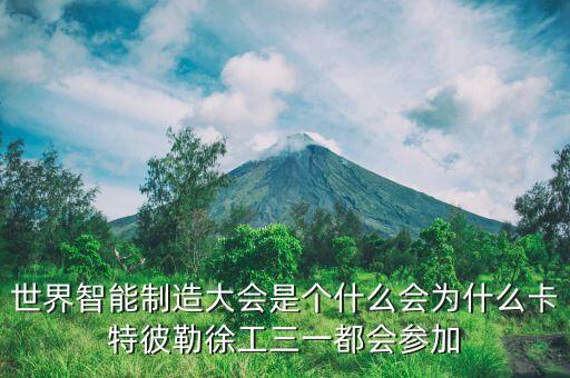 卡特彼勒為什么，卡特重工和卡特彼特有什么區(qū)別