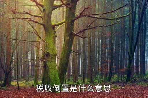 稅負(fù)倒置是什么意思，稅收倒置是什么意思