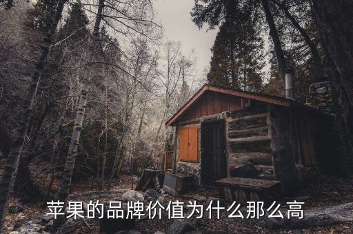 蘋果市值為什么那么高，蘋果的品牌價值為什么那么高