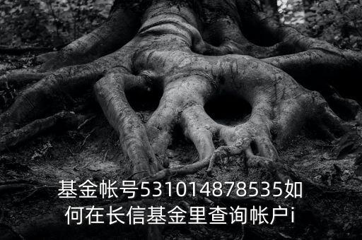 什么地方查長信基金519999，基金帳號531014878535如何在長信基金里查詢帳戶i