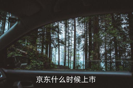 京東什么時間上市，京東什么時候上市
