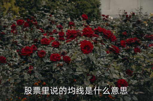 什么叫股市均線，股票里說(shuō)的均線是什么意思