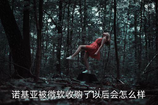 微軟收購(gòu)諾基亞有什么風(fēng)險(xiǎn)，微軟收購(gòu)諾基亞給諾基亞公司帶來(lái)怎樣的損失及破壞