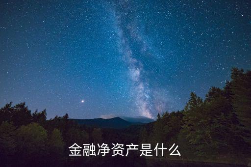 什么是凈金融資產(chǎn)，什么是凈財(cái)富