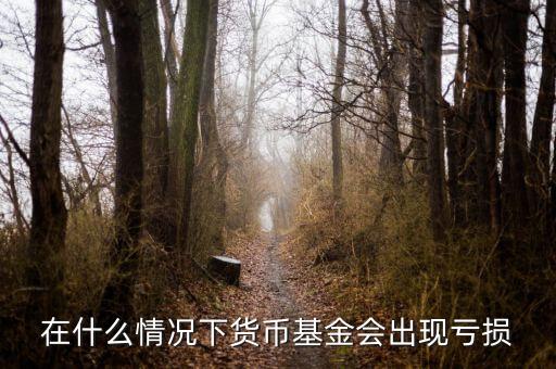 在什么情況下貨幣基金會(huì)出現(xiàn)虧損