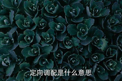 定向調配是什么意思