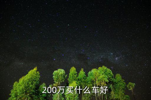 200萬存款買什么車，假如一個人有200萬以上買什么車低調(diào)點個子不高要不要請打手