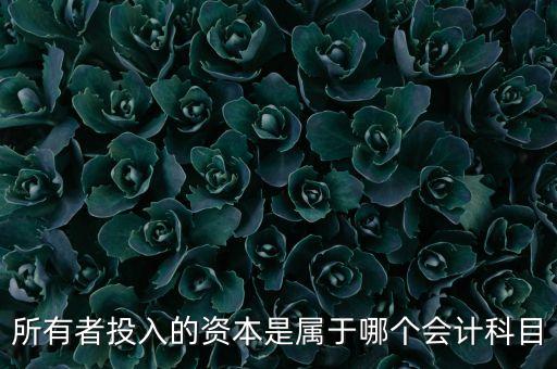 所有者投入資本是什么，所有者投入的資本是所有者權益