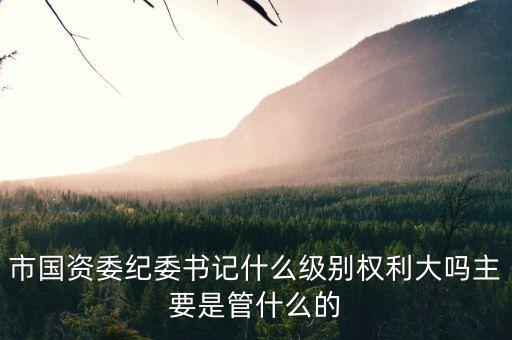 市國資委紀委書記什么級別權利大嗎主要是管什么的