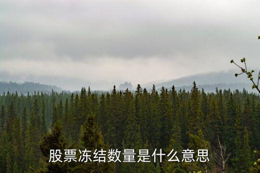 什么是凍結(jié)數(shù)量，股票在資金帳號上 什么是凍結(jié)數(shù)量