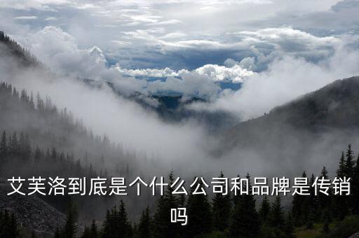 艾芙洛到底是個什么公司和品牌是傳銷嗎