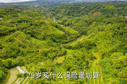 25歲買(mǎi)什么保險(xiǎn)合適，25歲適合買(mǎi)什么保險(xiǎn)