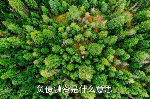負(fù)債融資是什么意思
