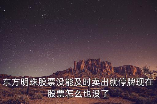 東方明珠股票沒能及時(shí)賣出就停牌現(xiàn)在股票怎么也沒了