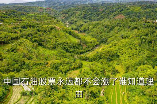 中國石油為什么套牢，中石油什么把中國股民都套牢